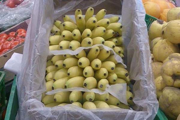 Bakıda bu banan 8 manata SATILIR-FOTO