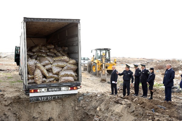 Dövlət Gömrük Komitəsi 26 ton kartofu məhv etdi - FOTO