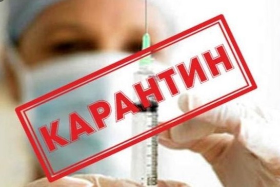 Azərbaycanda daha 379 nəfər koronavirusa yoluxub, 153 nəfər sağalıb