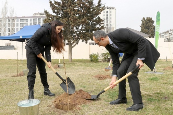 “Yaşıl Marafon 2023” ağacəkmə kampaniyasına start verilib